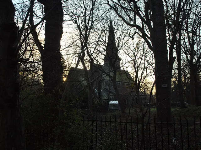 Determining the quantity of plants suitable for your home.