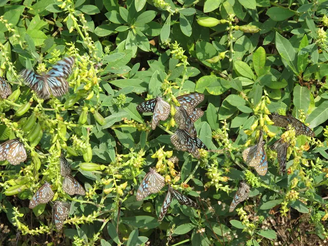 Unveiling 11 Stunning Macro Photos that Showcase Nature's Enchanting Secrets