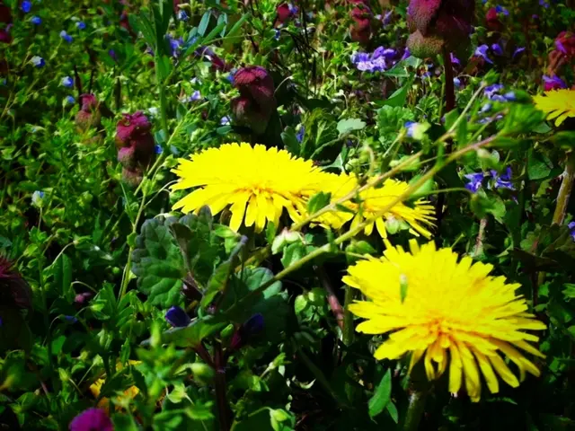 Spring color combinations I'm eager to experiment with