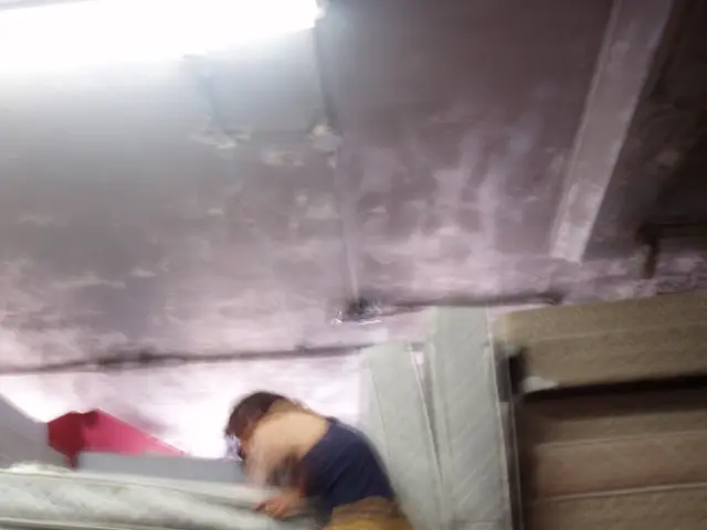 Evaluating Mattresses at Our Platform: Examining Comfort, Motion Isolation, and Various Other...