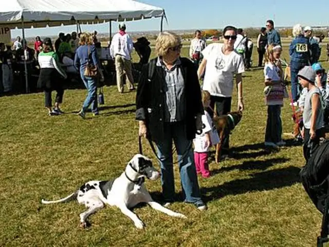 Pet dog Luna assists Millie Mackintosh in maintaining sobriety, as she battles years-long alcohol...
