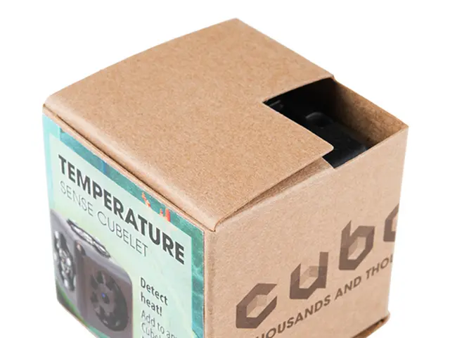 US Companies Obtain Eco-Friendly Packaging from India in Spite of Customs Taxes