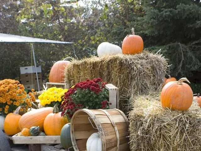 Festival in the Outdoor Museum Hagen during Autumn