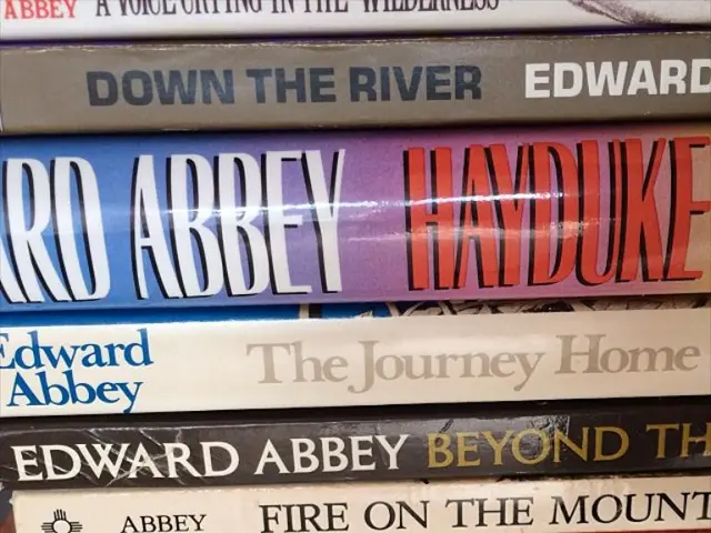 Critique of the Novel: Realms of Wrath and Ruin, penned by Alli Earnest