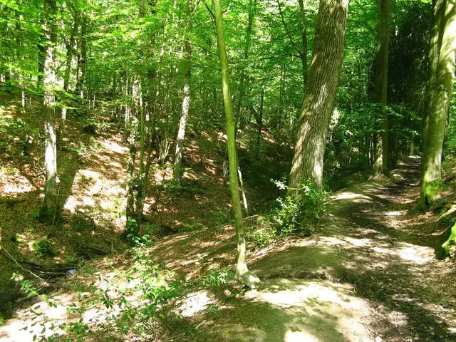 Cars IONIQ Forest: Planting One Million Trees Across Thirteen Nations: A Forest of Chattering Trees