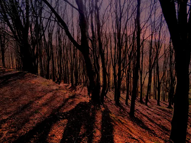 Troubleshooting a Damp Compost Heap: A Guide