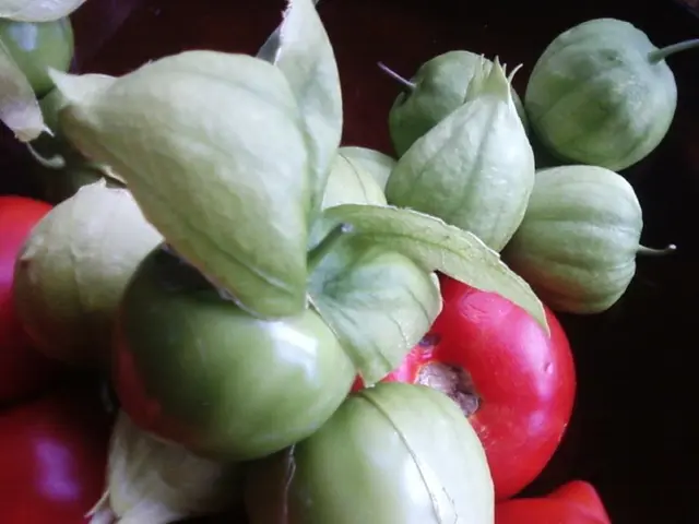 Grow and harvest edible plants in March