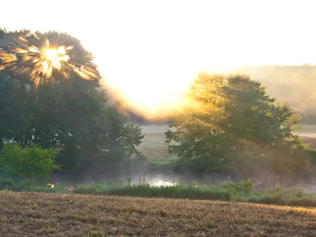 Do Underground Greenhouses Known as Walipinis Function Effectively in the UK?