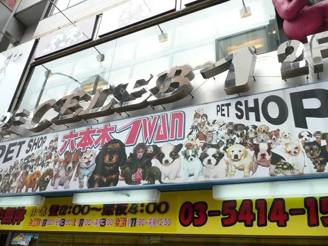 Exploring the Intersection of Yesterday and Today: The National Public Housing Museum in Chicago