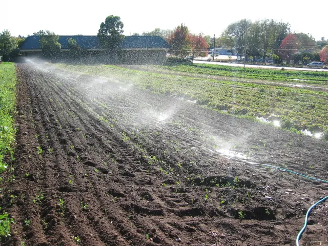 Maintaining Irrigation Systems: Strategies to Avert Malfunctions
