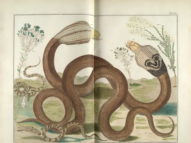 Garden's Most Valuable Reptile Companions: The Top 3 Snakes