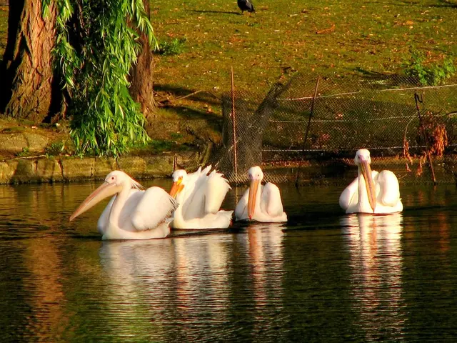Wildlife Haven and Visitor Facility: Lackford Lakes Nature Reserve