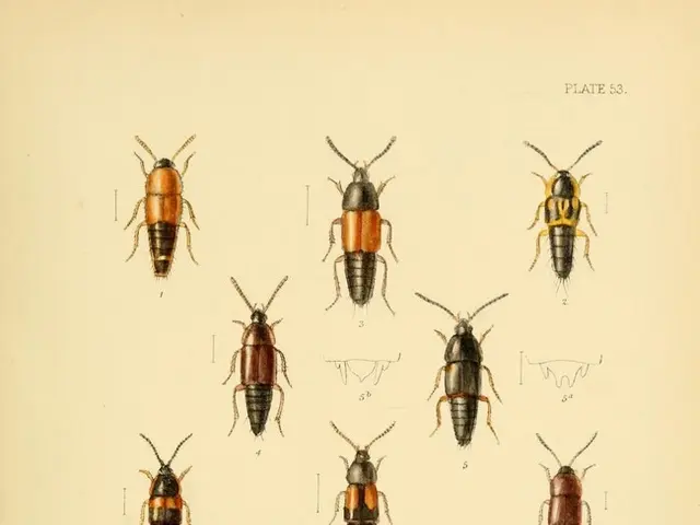 Summer Home Savior: Budget-Friendly Bug Elimination Trick Under $20