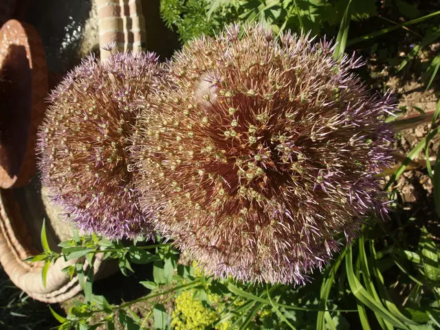 Practical Tips for Effective Irrigation During Summer Heat