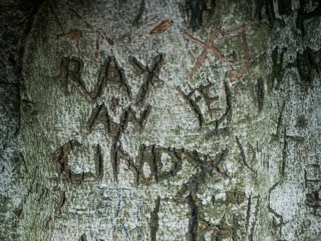 Luxury travel trunks from Louis Vuitton experiencing high demand