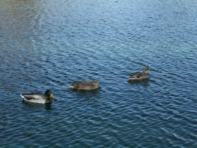 Lecture by Sea Novelist: Writer Set to Delve into Massive, Rebellious Sea Waves and the...