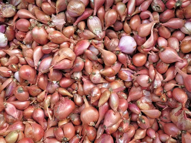Guidelines for Onion Harvesting: Comprehensive Insight You Require