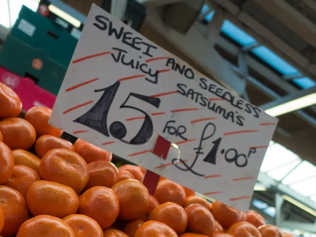 Strategies to Entice Long-Term Tenants in Orange County: A Simple Guide