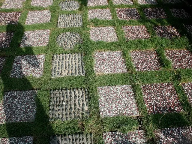 Comparison of the 5 Most Prevalent Driveway Materials: Assessing Advantages, Disadvantages, and...