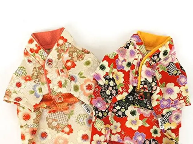 Everyday Elegance Inspired by the Amalfi Coast: Embracing the Aesthetic of the Amalfi Style