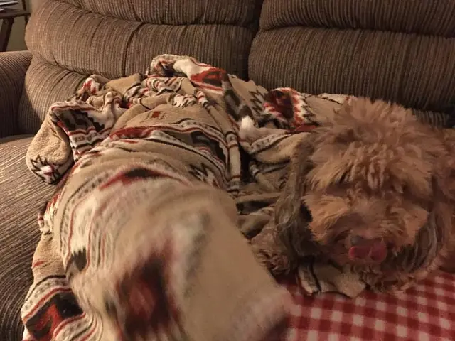 Sofa Fixing Services Glasgow - Infinite Upholstery Redo