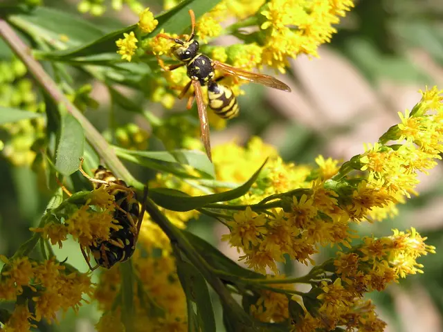 Domestic Insect-Repelling Flora: The Top 10 Essential Plants for Your Home