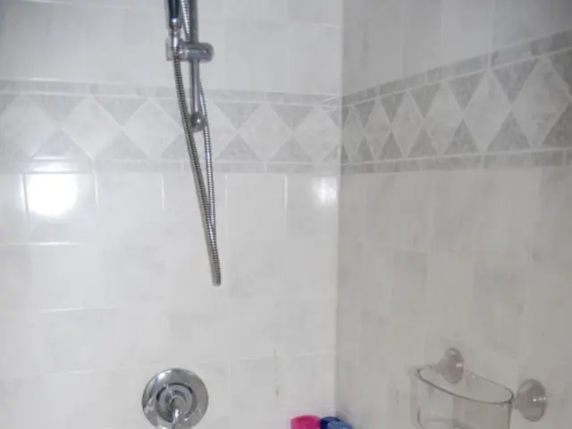 Cleansing a shower drain may be considered the most challenging cleaning task, yet a common...