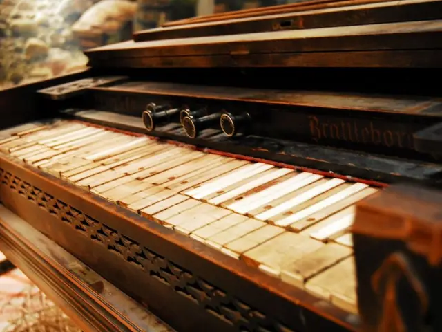 In Victoria, there's a wave of enthusiasm for piano-led tunes, with piano bars enjoying a surge in...