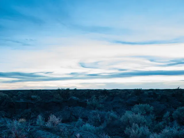 In my wilderness adventure, I've learned that venturing into the forest without a tampon is...