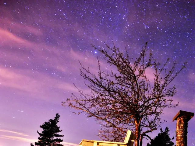 Starside outing arranged at Oberburg Giebichenstein's picturesque setting