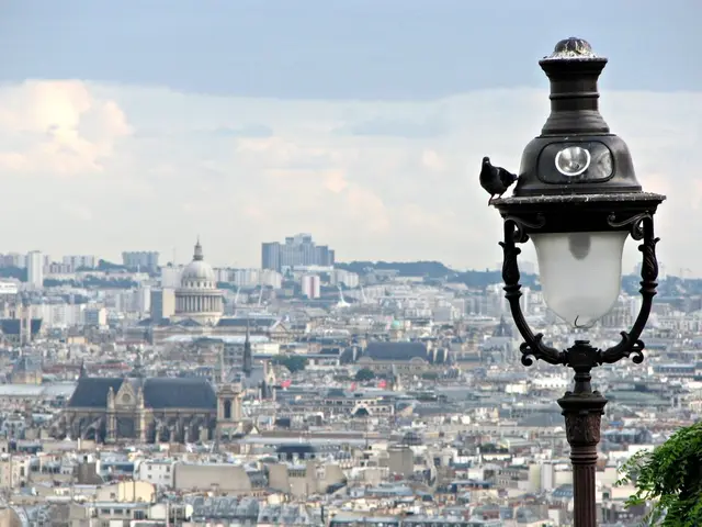 Preparations underway in downtown Luis for potential challenging inquiries