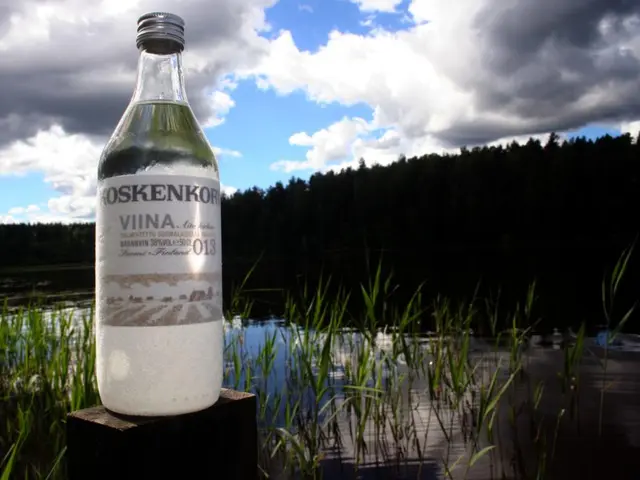 Top 5 Home Plants for Air Purification