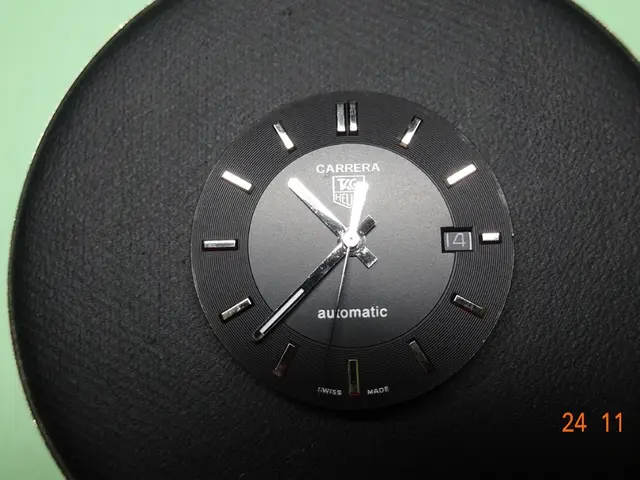 Interpreting the phrase: Understanding the term 'bushing a clock'