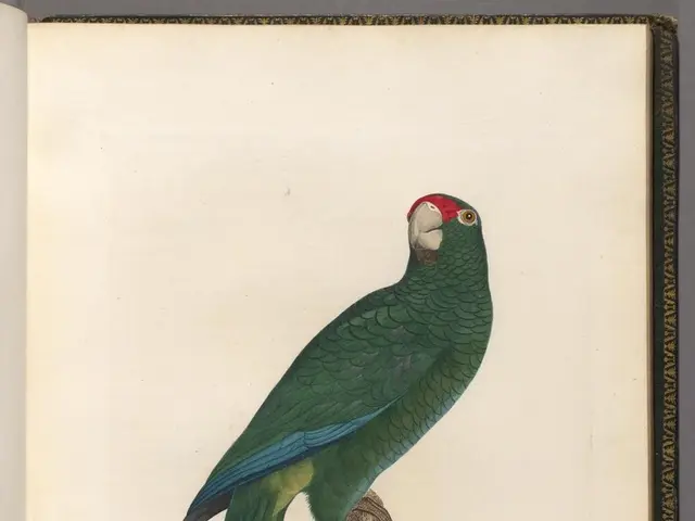 A comprehensive walkthrough on creating a Yoda character in Little Alchemy, providing a series of...