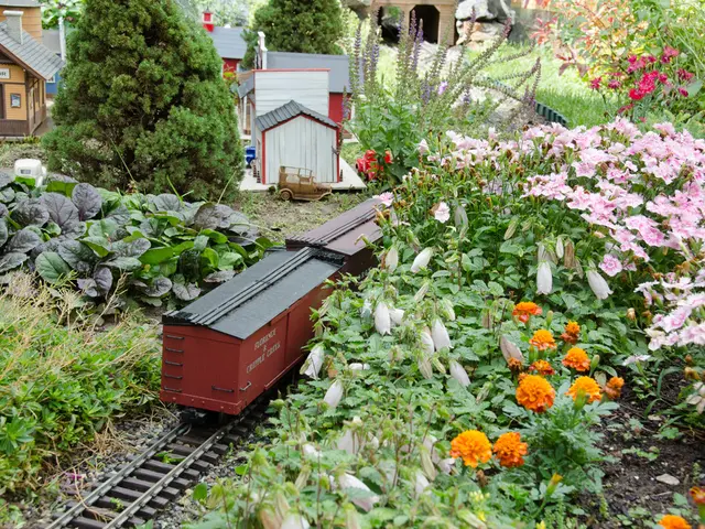 Exploring the magical past of the Witch's Cottage