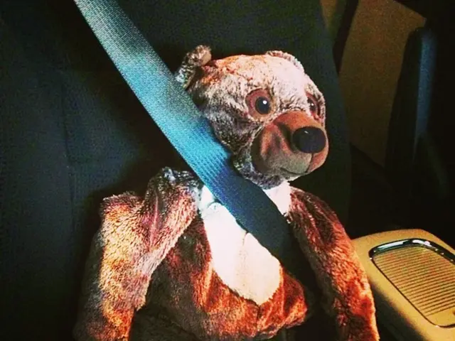 Authorities Retrieve Stray Creatures from Busy Roadway