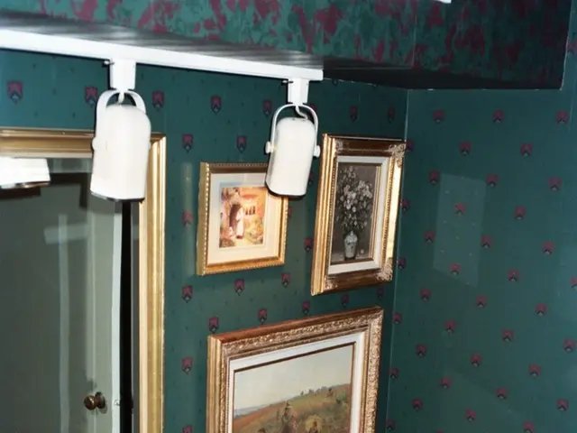 Unveiling the Value of Sewer Camera Inspections in Warding Off Pricey Plumbing Maintenance