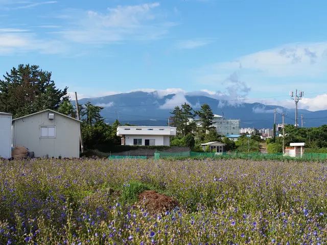 Innovation blooms in the electricity sector, as revealed by Sonepar Italia's approach to...