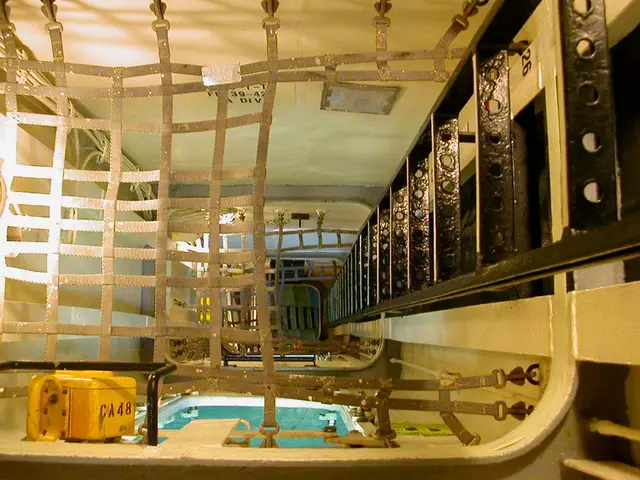 Armed Guardians of the Rain