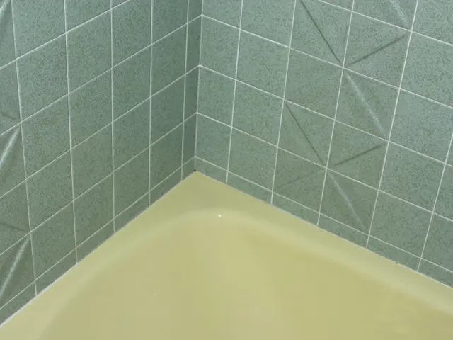 Various Tiles Types for Your Bathroom Remodel: A Comprehensive Guide