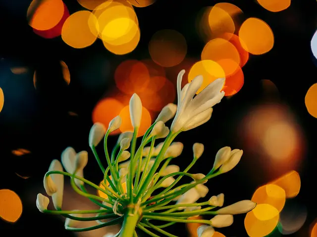 Evening Event at Gruson Greenhouses, Open from August 13 until 10 PM