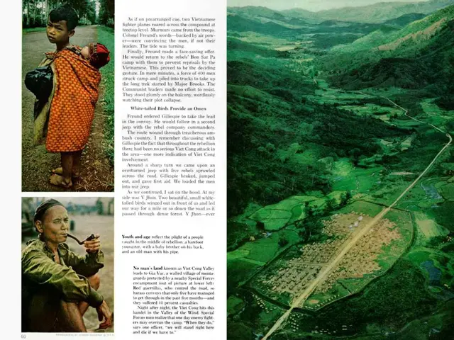 User-generated content featuring humorous or satirical visuals, totaling 244 in count.