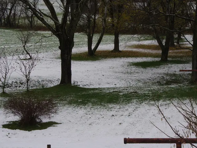 Impactful Ripples Generated by Your Drizzle of Influence