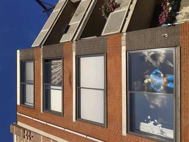 Top 12 Inside Office Plants Boosting Your Work Environment's Morale