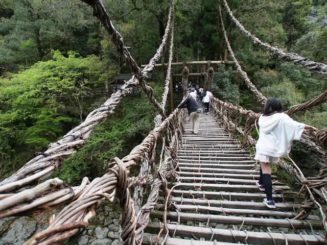 Bridge Structures Adorned with Love Castles in Berlin: Assessing the Risks to the Structural...