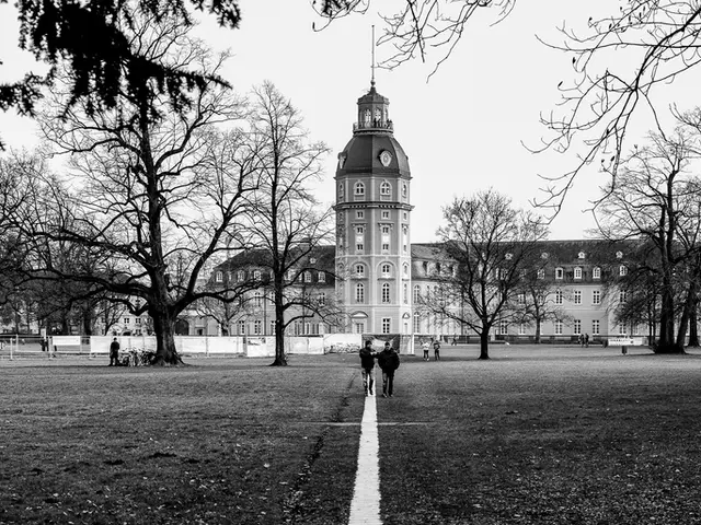 Top-notch Free Lightroom Presets Ideal for Black and White Image Enhancement