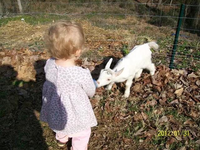 Italy's World Earth Day Campaign Aims to Purge Italy of 25,000 Tons of Trash