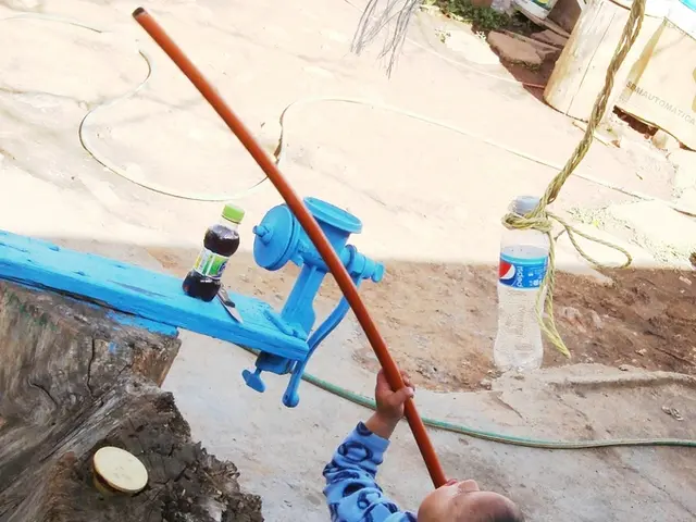 Decorative Christmas Trees Made from Pipe Cleaners
