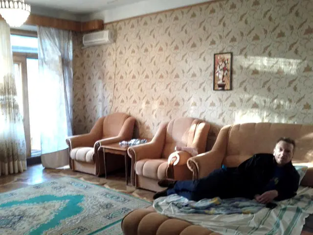 Tranquil One-Room Haven Amidst City's Hustle and Bustle: Swedish Design Aesthetic Prevails