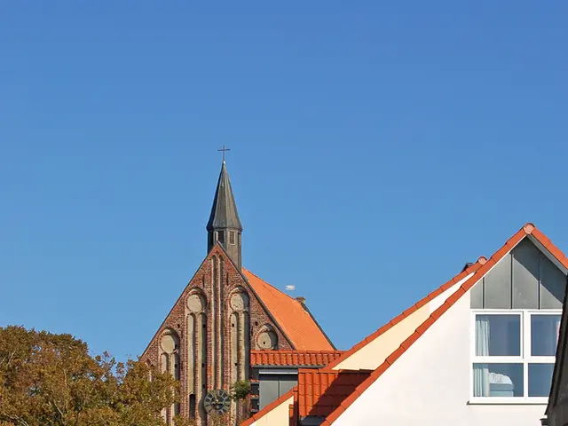 The Elm Tree and the Cunning Fox